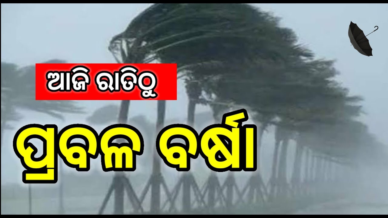 ଆସୁଛି ଲଘୁଚାପ, ଭିଜିବ ସାରା ଓଡ଼ିଶା ୧୧ ତାରିଖରୁ ପ୍ରବଳରୁ ଅତି ପ୍ରବଳ ବର୍ଷା